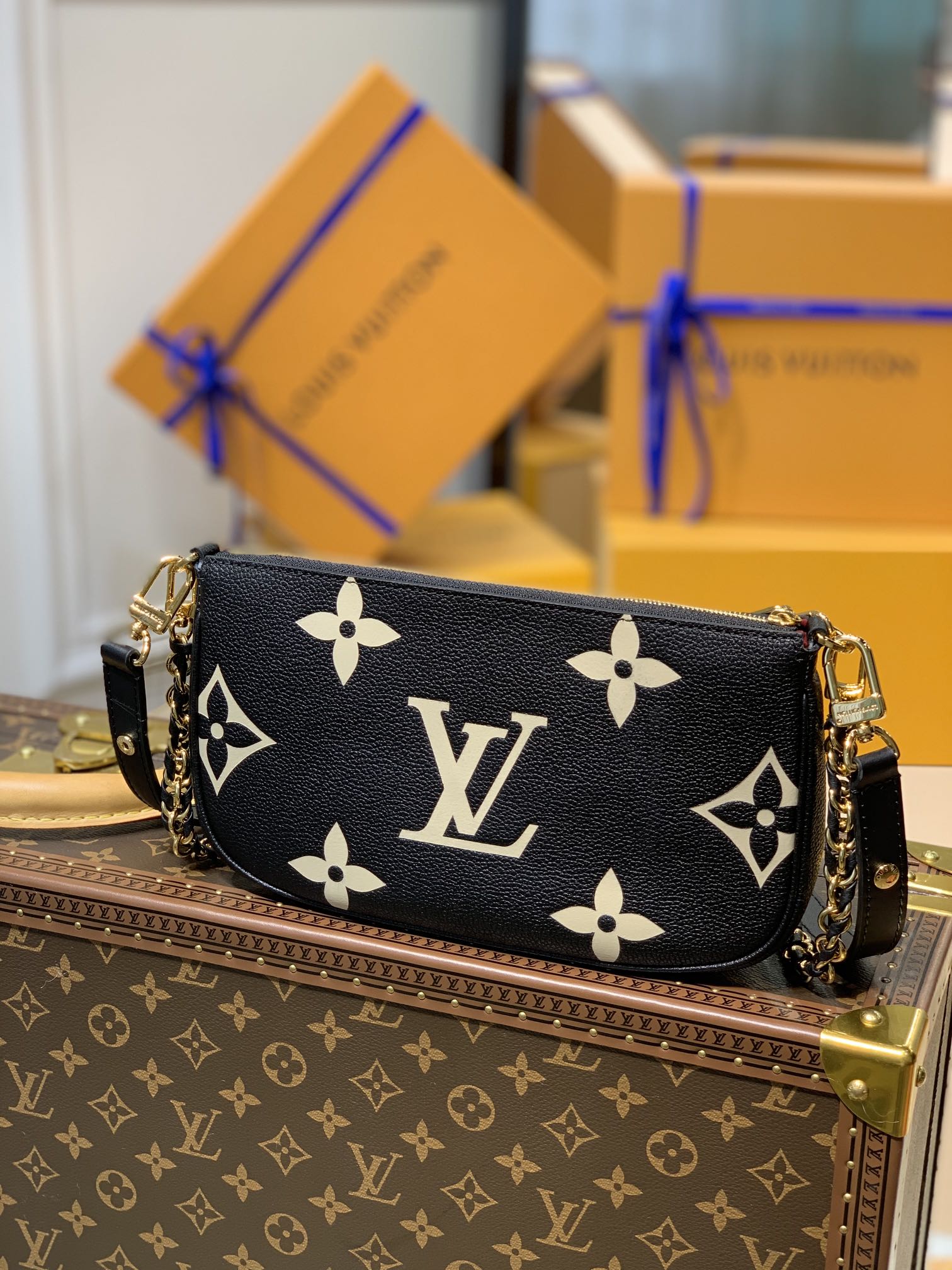 l**is V*t*n multi pochette accessoires-25*13&20*11*10cm