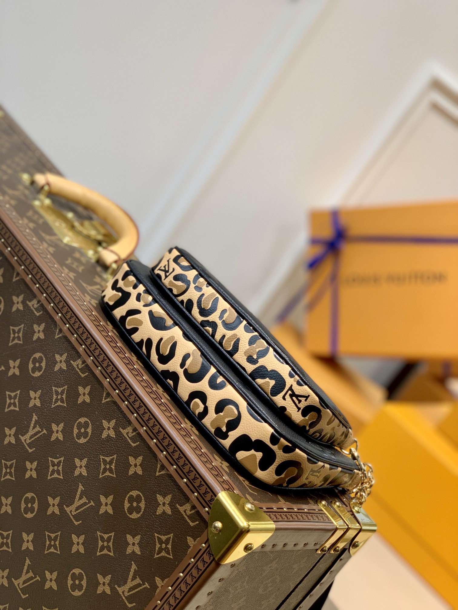 l**is V*t*n multi pochette accessoires-25*13&20*11*10cm