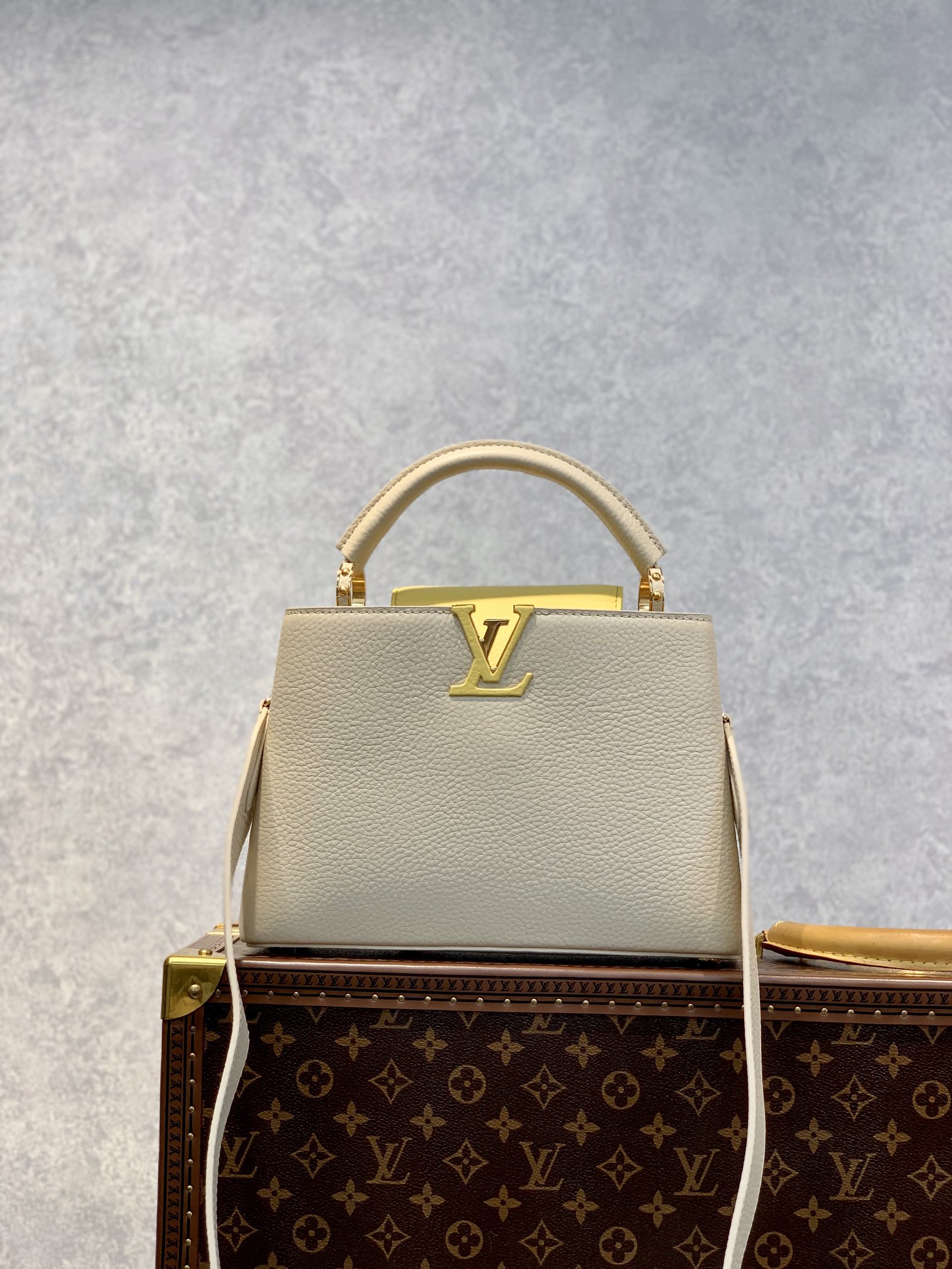 l**is V*t*n capucines bb-27*18*9cm