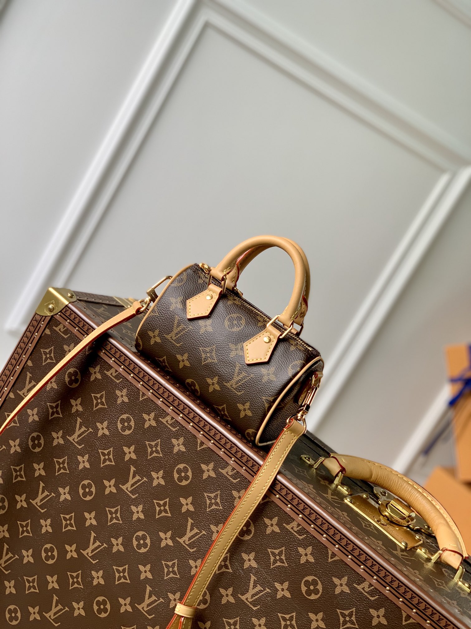 l**is V*t*n nano speedy-16cm