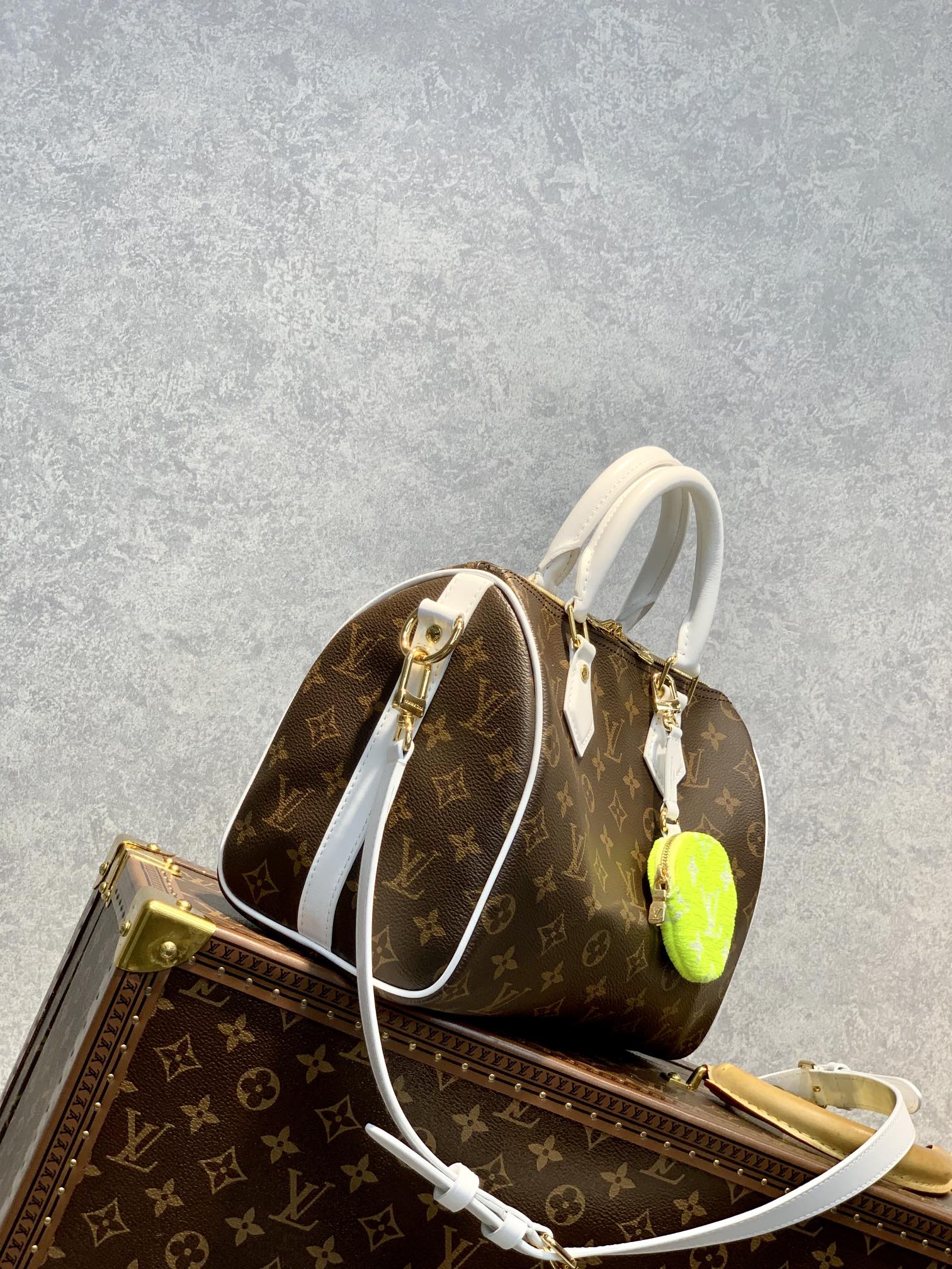 l**is V*t*n speedy bandoulière 25-25*19*15cm