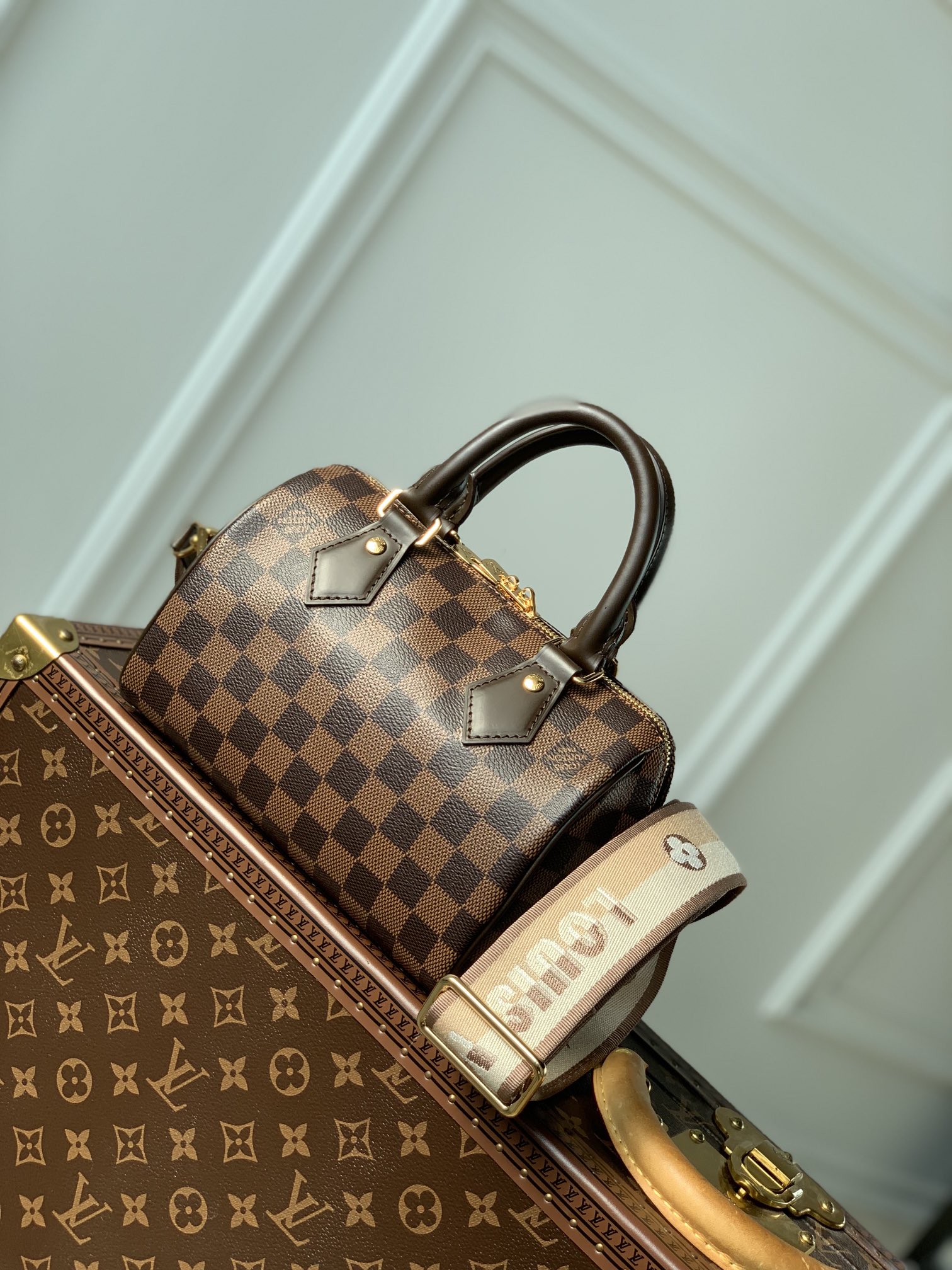 l**is V*t*n speedy m40489 20 -20.5 x 13.5 x 12cm