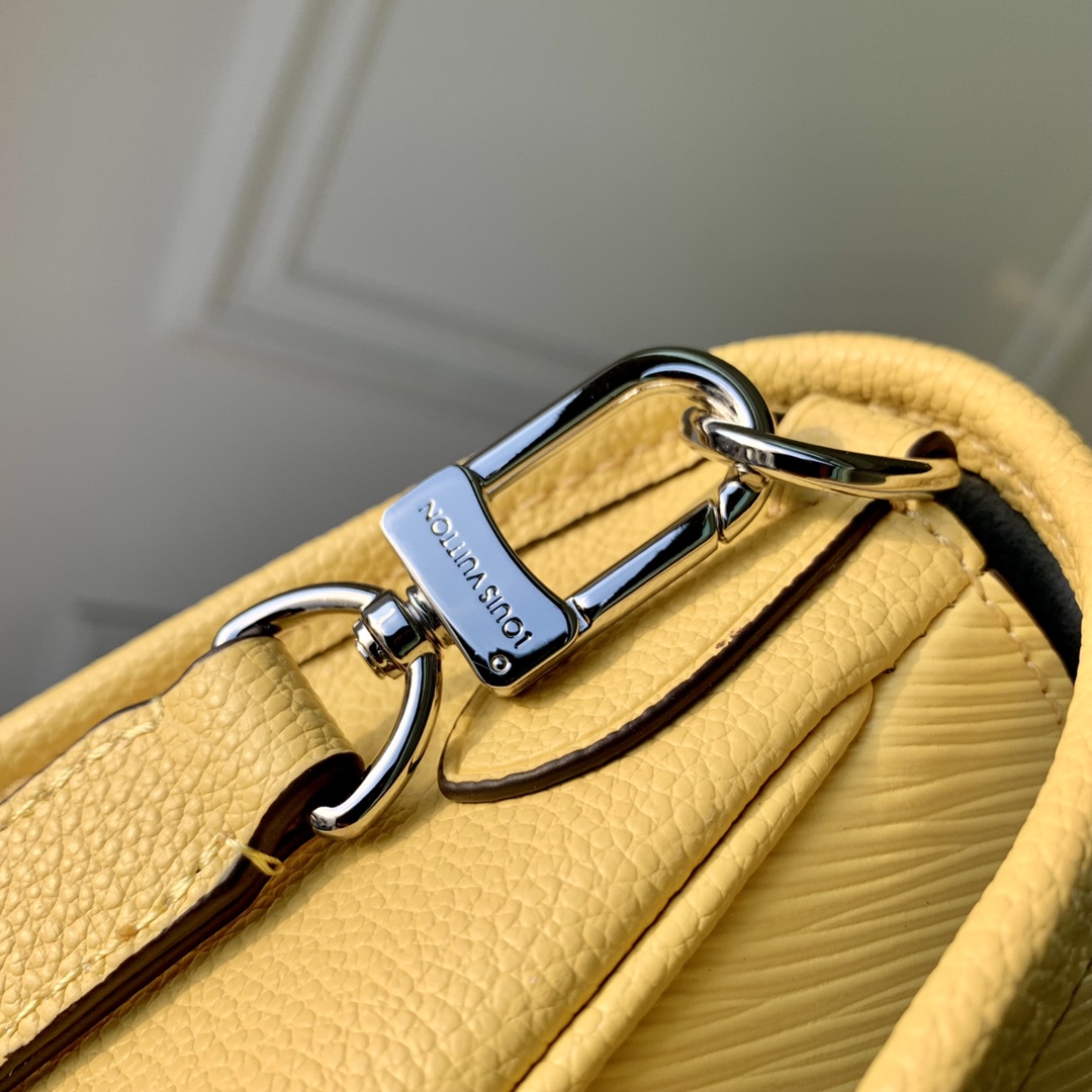 l**is V*t*n buci handbag-24.5 x 15.5 x 9cm