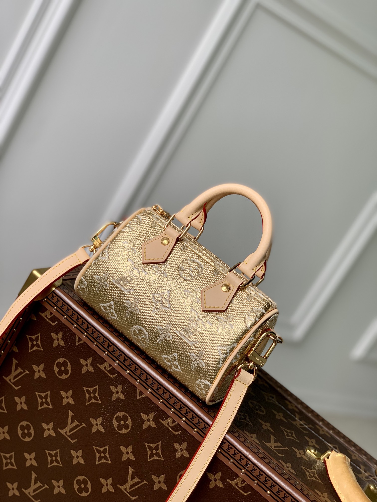 l**is V*t*n nano speedy-16cm