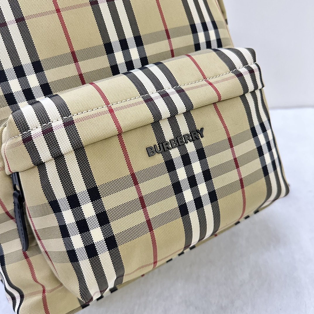 B**rry backpack-30.5 x 14.5 x 42.5cm