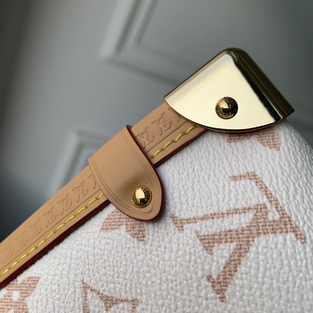 l**is V*t*n side trunk pm- m22944-21×14×6cm