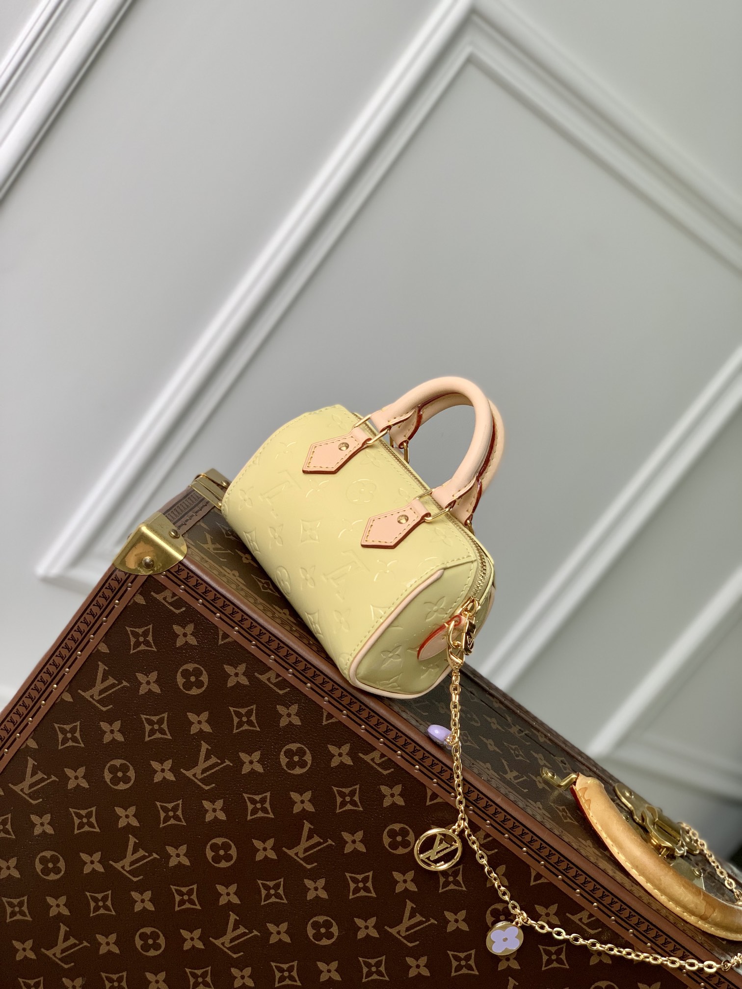 l**is V*t*n nano speedy-16cm