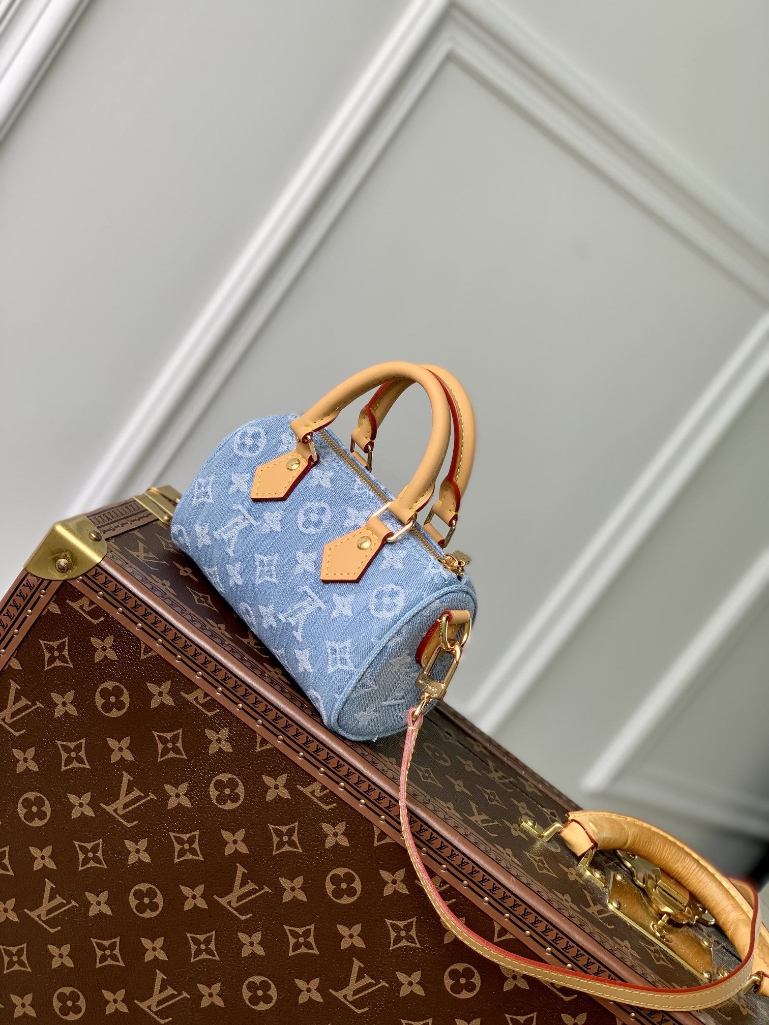 l**is V*t*n nano speedy-16cm