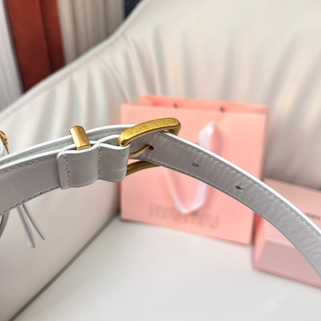 MiuMiu Belt Bag